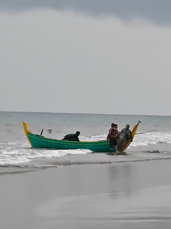 Fresh catch lands on a Curehtunong beach at dawn
