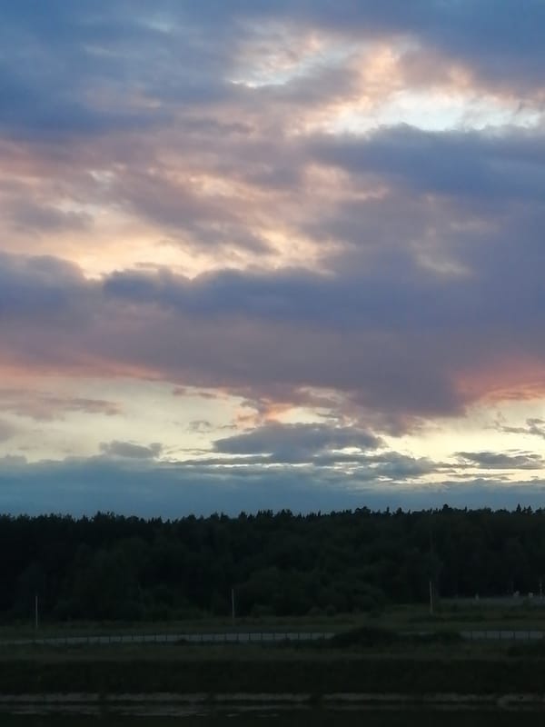 Stormy skies, dark treelines, and dry grass at dusk