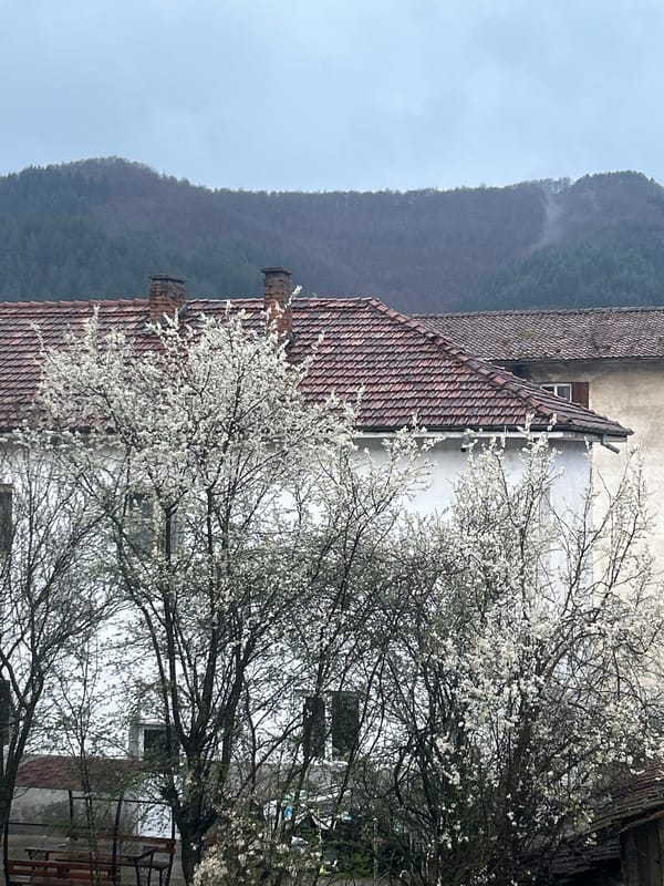 Rainy afternoon neighborhood life documented in Zlatograd, Bulgaria
