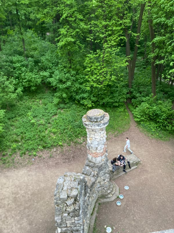 Afternoon visitors explore Moscow's Tsaritsyno Park, swans, castle ruins