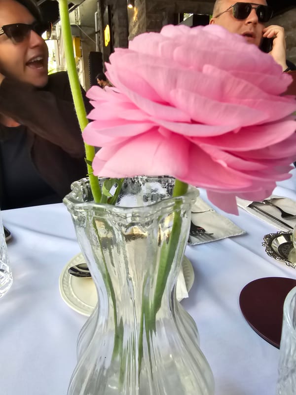 Morning dining experience documented at Tbilisi restaurant with flowers