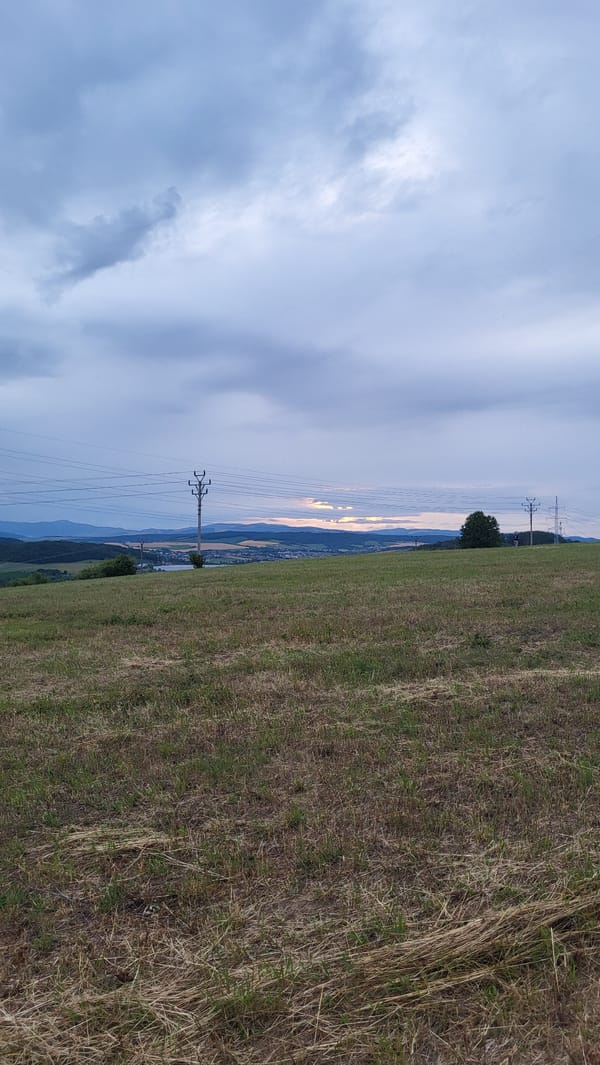 Evening wander through Prešov's forest edges and hillside meadows