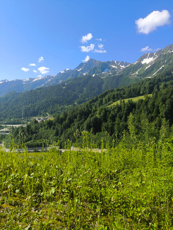 Estosadok mountain scenery: meadows, streams, and alpine roads