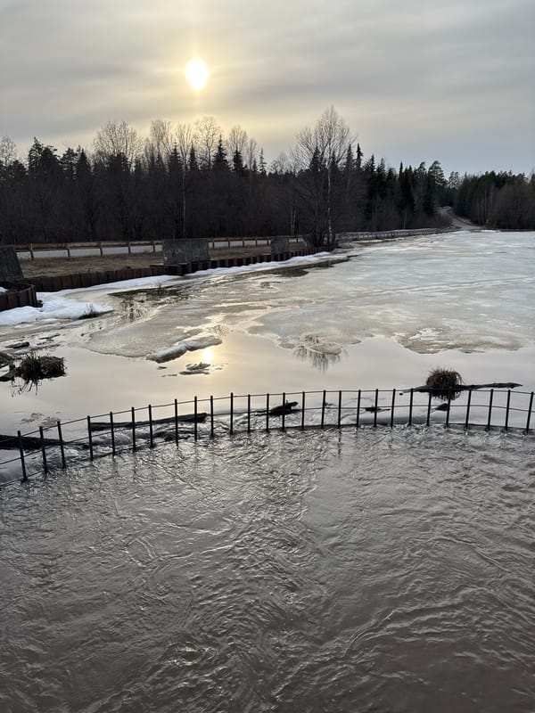 Spring flooding documented on Russian river bridge