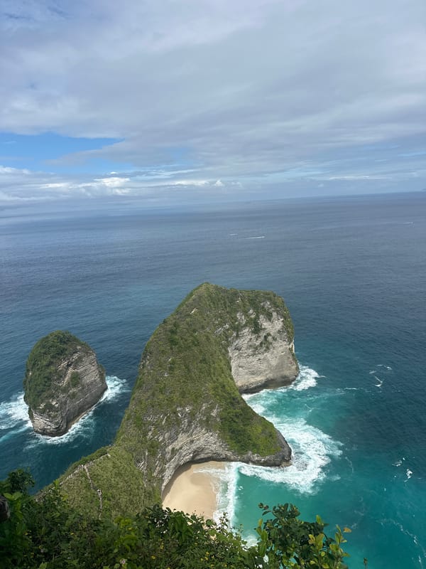 Monkeys spotted at Kelingking Beach viewpoint, Nusa Penida