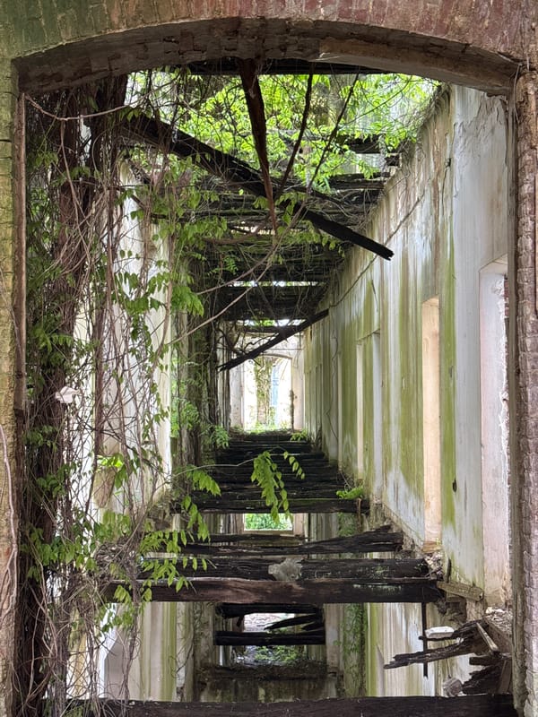 Woman documents self in abandoned, overgrown building interior