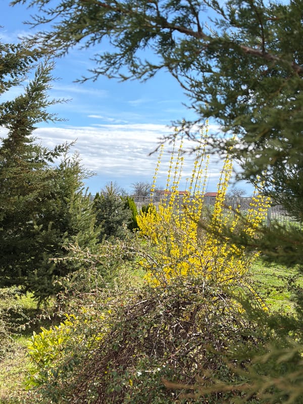 Man photographed outdoors amid spring scenery in Markovo, Bulgaria