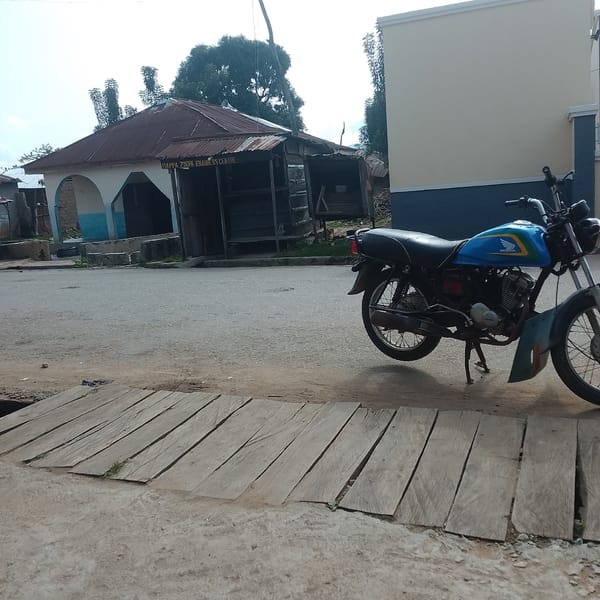 Tropical semi-rural streets, construction sites, and palm-lined paths