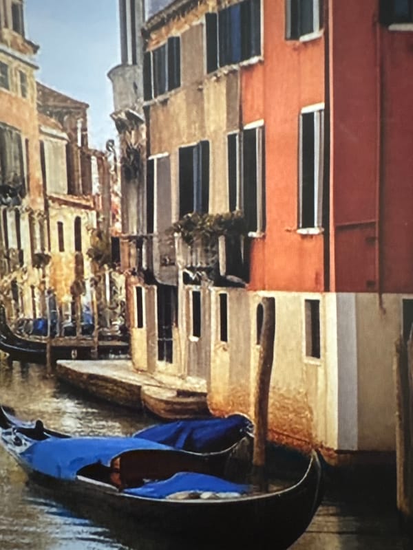 Art viewing and cooking scenes documented across multiple locations