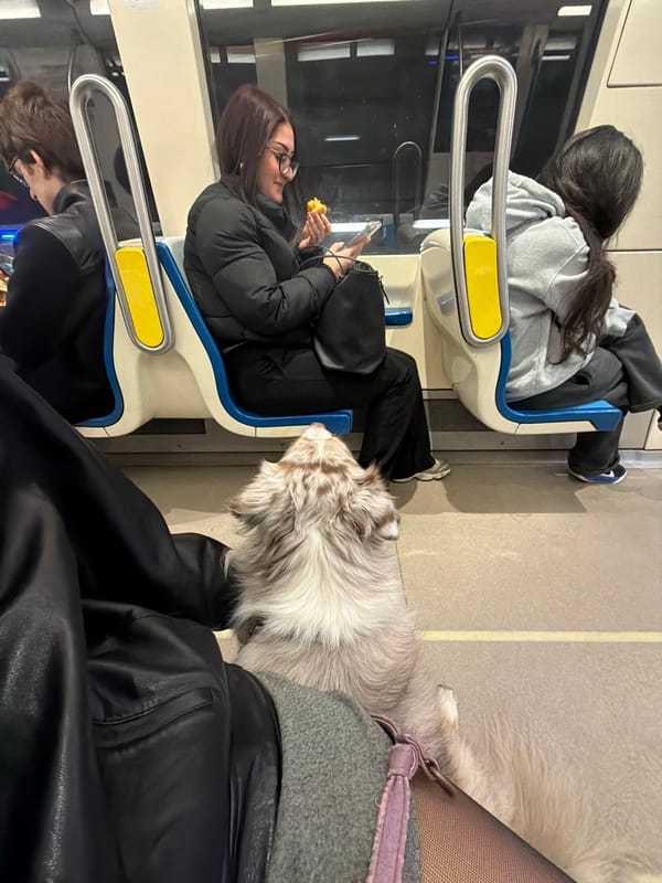 Light ridership observed on Montreal Metro Blue Line Friday afternoon
