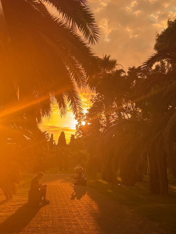Golden hour in a Sochi seafront park, sculptures and all