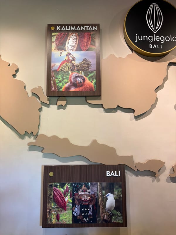 School group visits JungleGold Bali chocolate facility and shop
