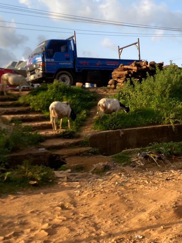 Everyday street life across Jos and Gwong, Nigeria