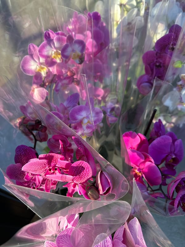 Early morning flower market documented in Chișinău, Moldova