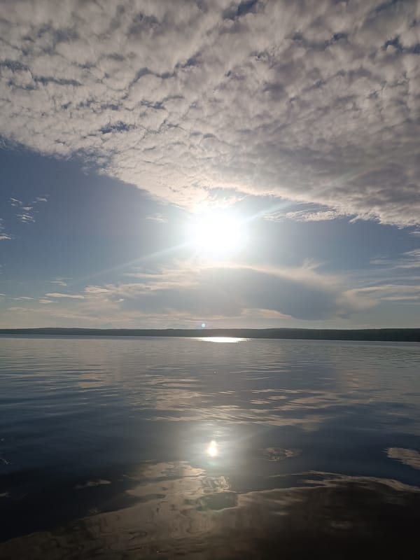 Afternoon at the Chaikovsky waterfront — selfies, wildlife, and reservoir views