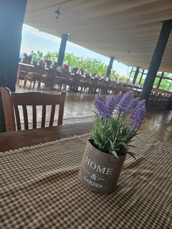 Afternoon dining captured at rustic restaurant in Lyaskovets, Bulgaria