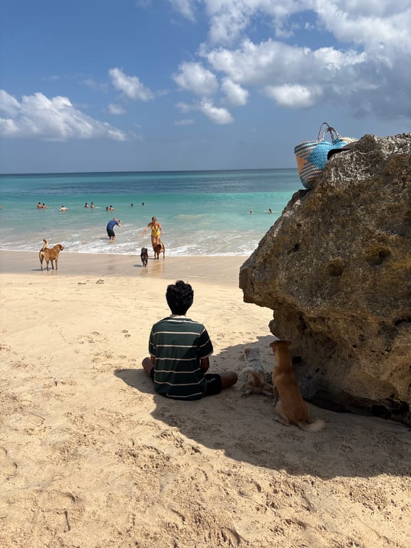 Surfers and beachgoers fill a Kuta Selatan shore