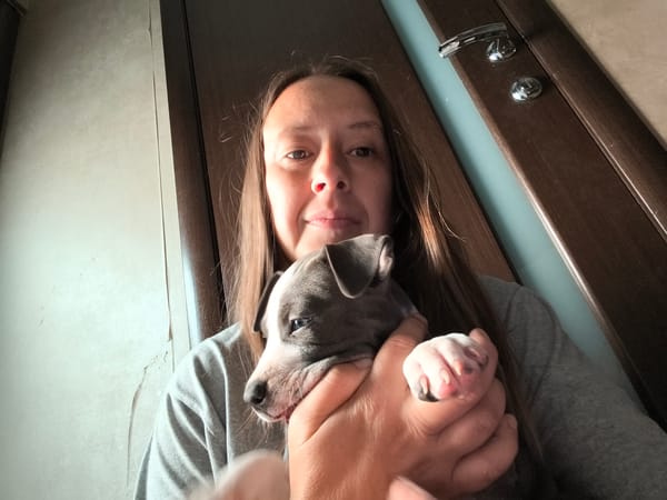Pets and a map selfie, late night in Марковский