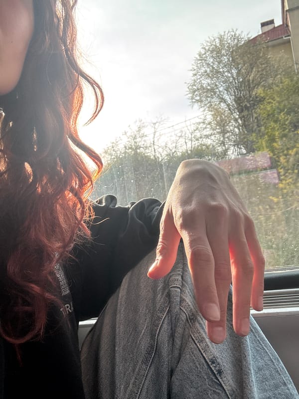 Train passenger journeys through countryside landscape during afternoon hours