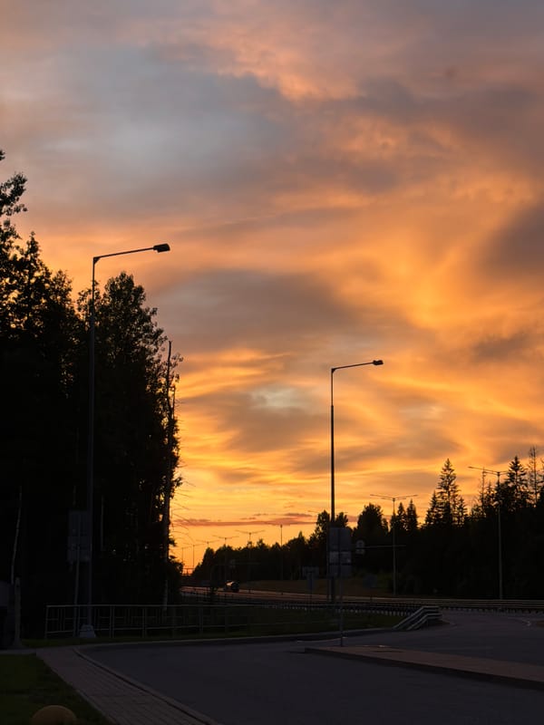 Vivid twilight sky glows above a silhouetted treeline