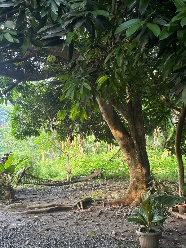 Rural Carmen Philippines property documented during evening golden hour