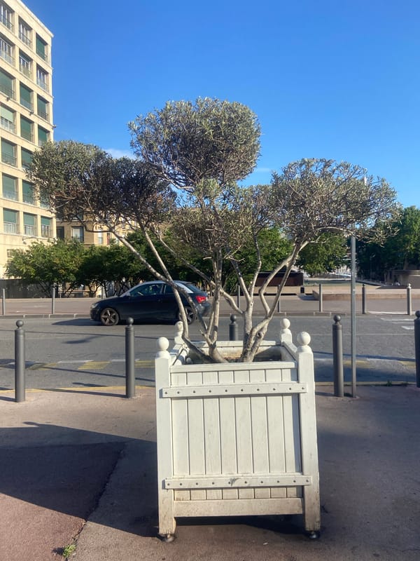 Witnesses document Mediterranean waterfront district with marina and architecture