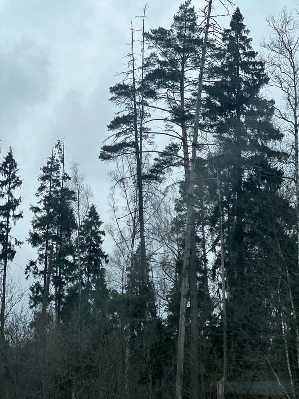 Overcast morning conditions observed in Velednikovo, Russia