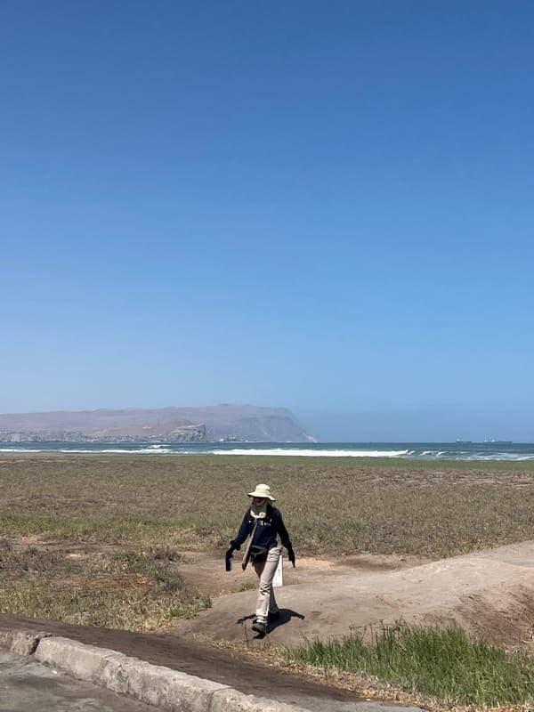 Clear skies and gentle waves documented along Arica coastline
