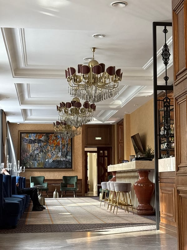 Khabarovsk hotel stay with selfies, flowers, and a striking arcade