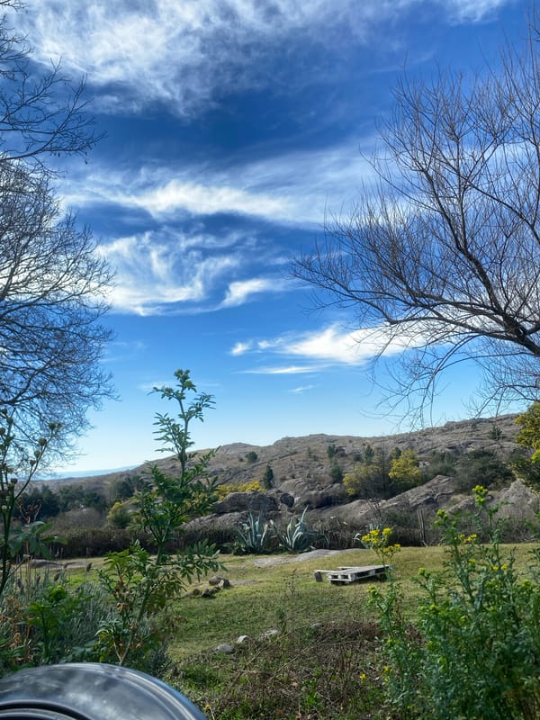 Lazy afternoon at a rural Argentine property