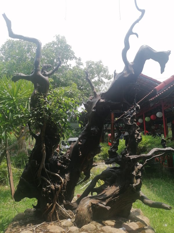 Tourist documents park attractions and restaurant in Nam Khanh Vinh