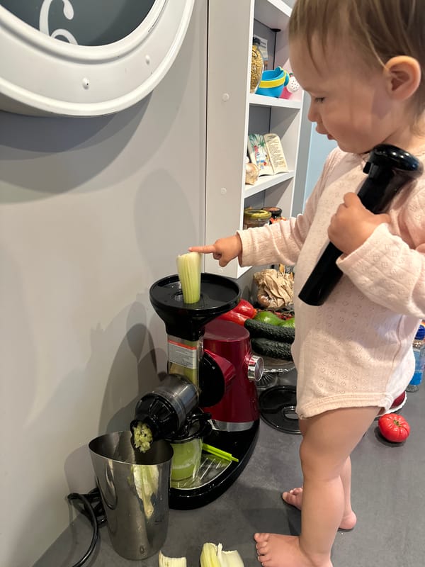 Child operates juicer to process celery in Polish kitchen