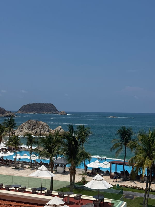 Tourist captures beach resort brunch experience in La Crucecita