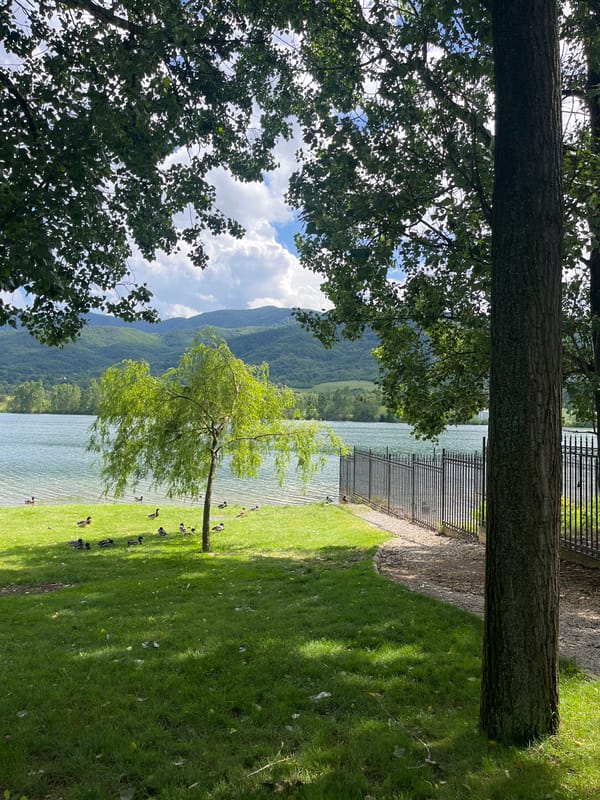 Lakeside scenery documented across Pravets and Razliv Bulgaria villages