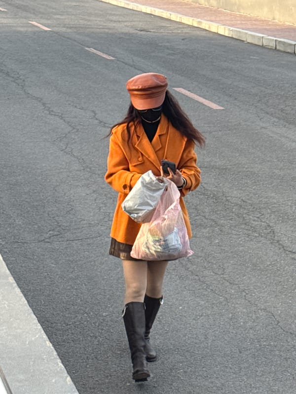 Pedestrians observed in outdoor urban areas of Zhongtun
