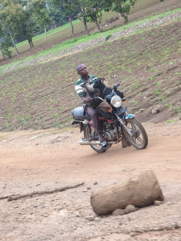 Motorcycle carries passenger with chickens on Agban dirt road