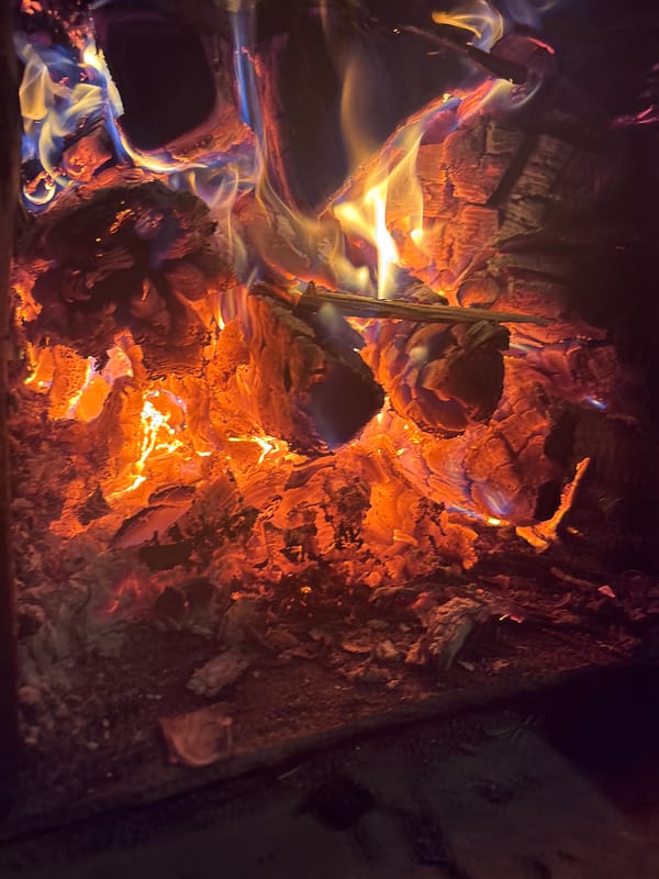 Rural life documented in Kurgan: fires, flowers, countryside