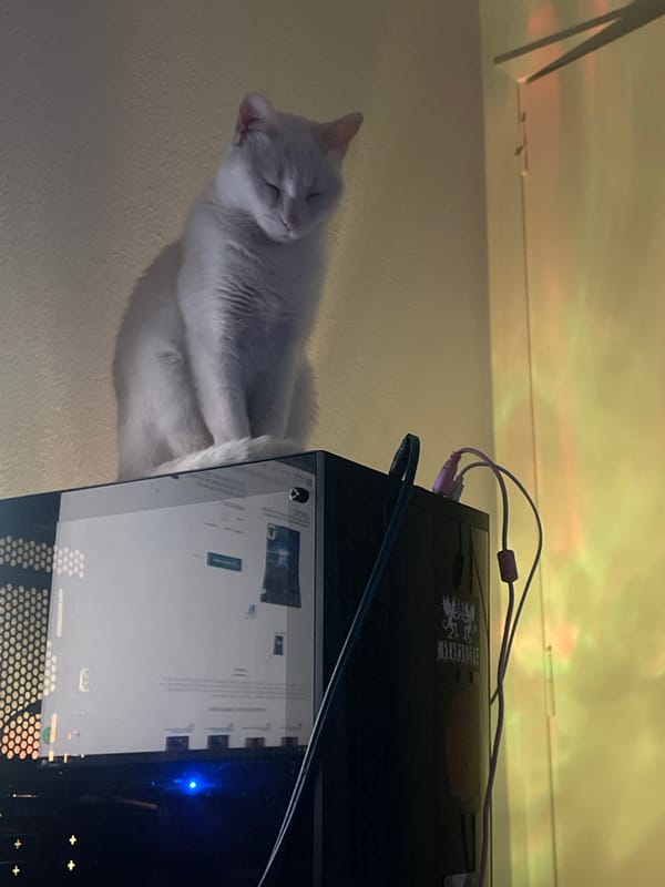Cat naps on computer tower in Argentine home workspace