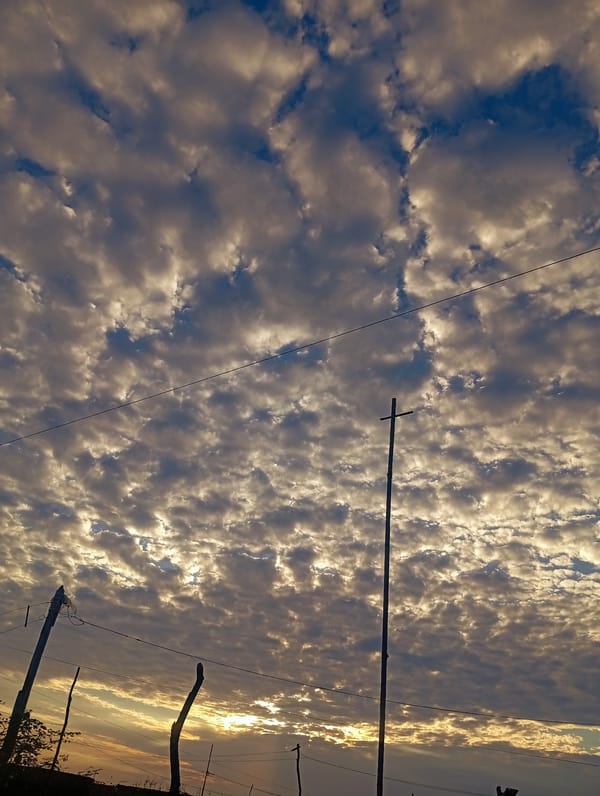 Evening sky, newborn kittens documented in Altagracia, Venezuela