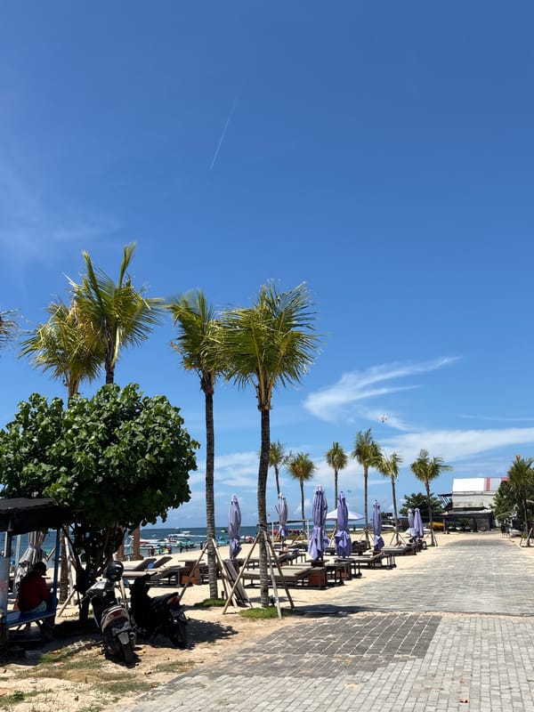 Morning kite flying and beach scenes in Bali