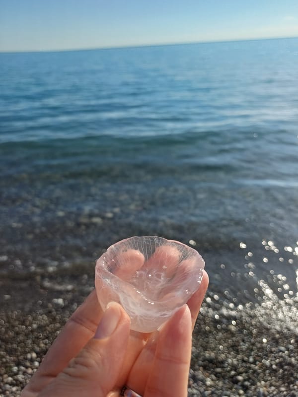 Summer beach day unfolds at Sochi's Black Sea shore