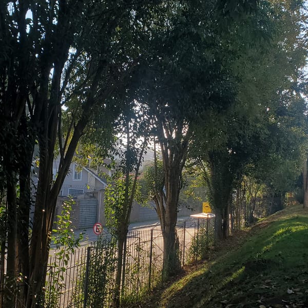 Daily life documented across Curitiba locations and interiors