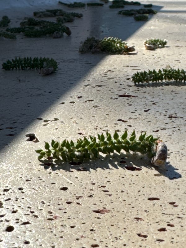 Quiet afternoon moments captured in Aprilia park