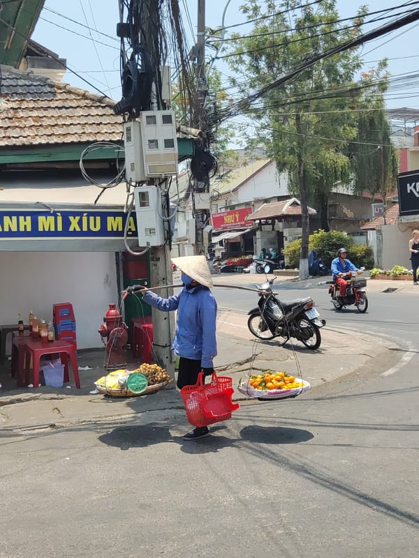 Traditional fruit vendor spotted in Đà Lạt street scene