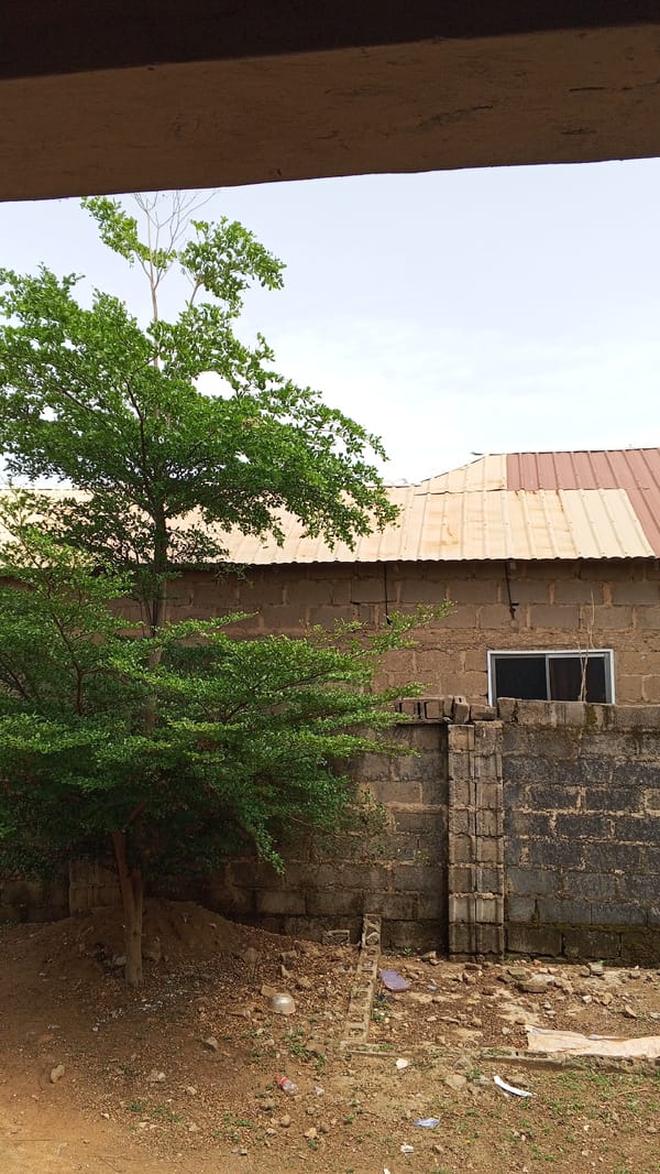 Tree and building documented in Rido, Nigeria street scene