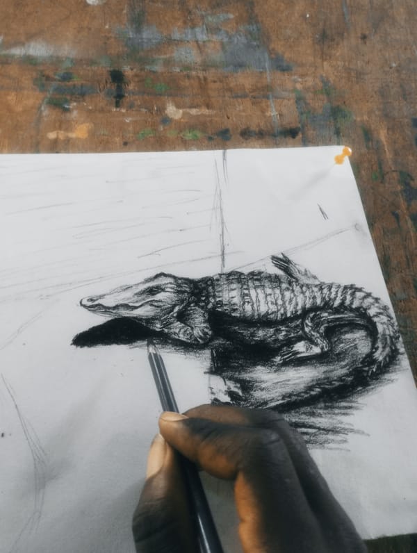 Reptile sketches in charcoal and pencil, work in progress
