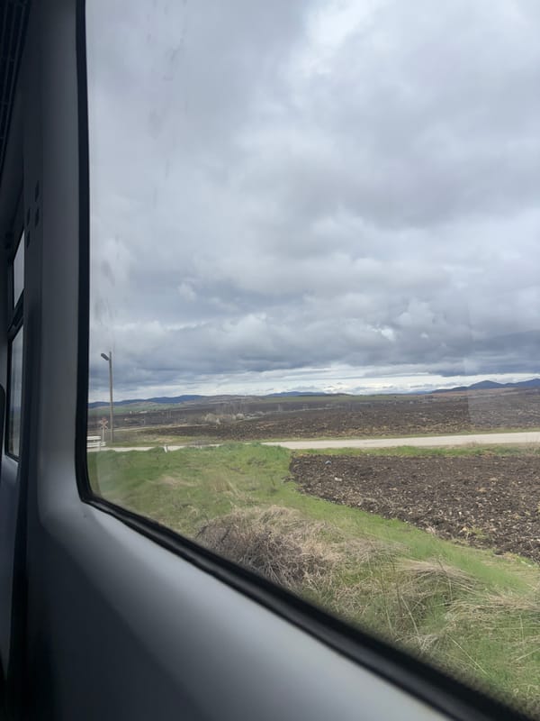Overcast rural landscape observed from vehicle near Smilets, Bulgaria