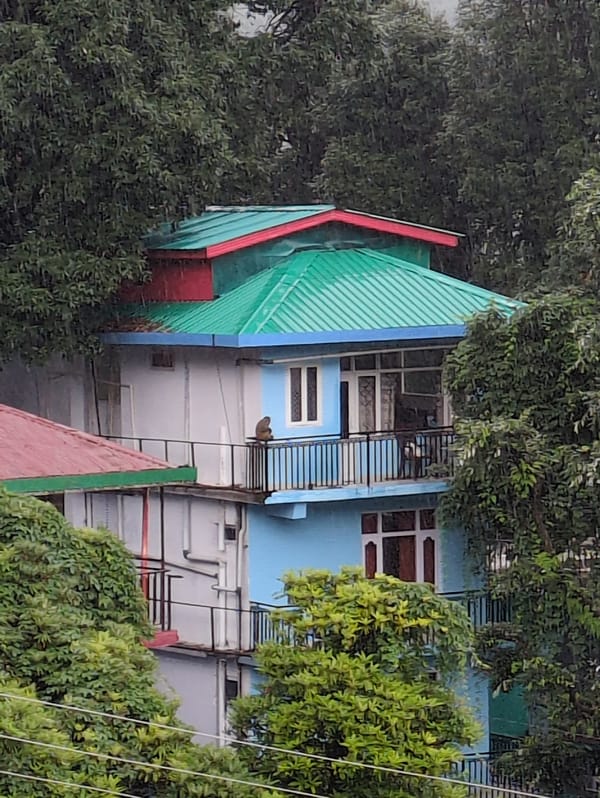 Wet, foggy morning across Haini and Bhagsu hillside villages