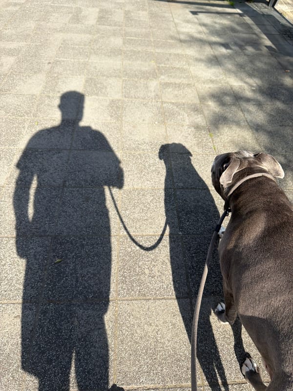 Afternoon life documented in Esch-sur-Alzette, Luxembourg