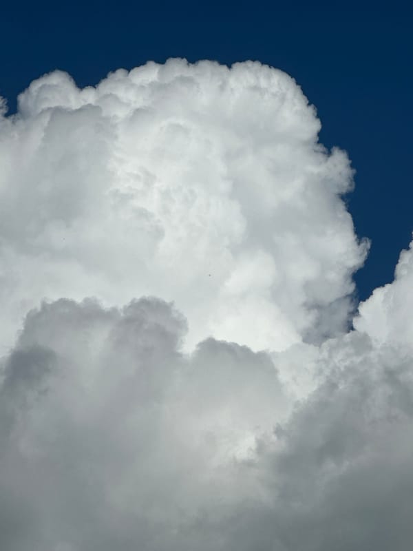 Afternoon clouds and resting cat observed over 96 minutes